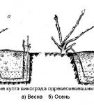 Посадка отводкой