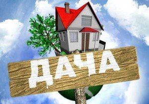 Полезные советы дачникам по выращиванию зелени