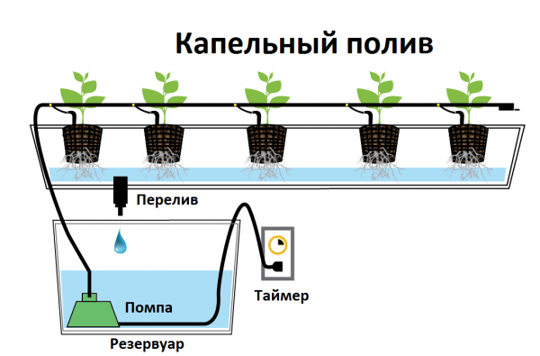 система капельного орошения