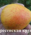 Сорт Воскресенская крупная