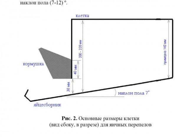 Схема клетки для перепелов