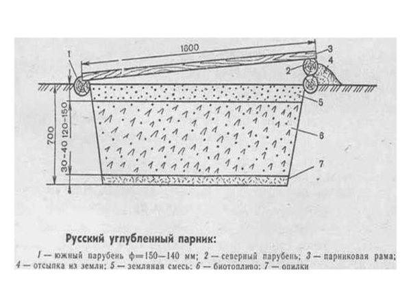 Углубленный парник