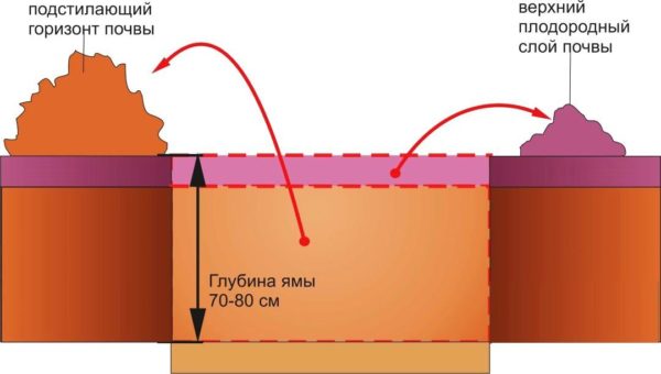 Схема подготовки ямы