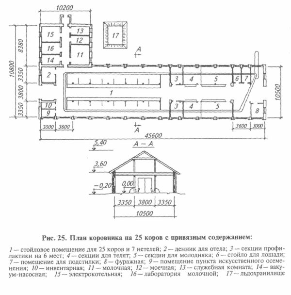 Чертёж коровника на 25 голов с привязным содержанием