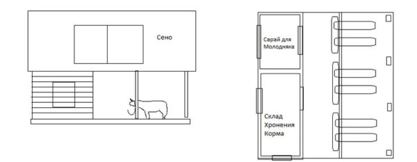 Схема коровника на 6 скотомест