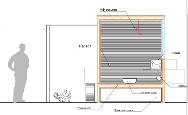 Схема зимнего курятника