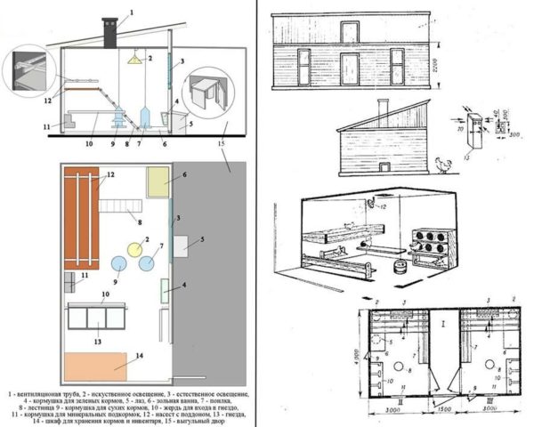 Проект зимнего курятника