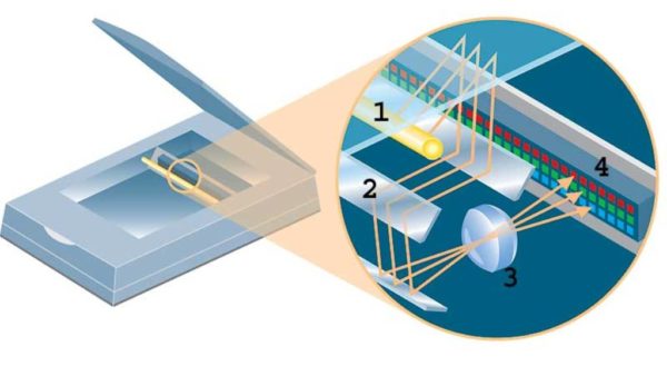 Принципиальная схема работы планшетного сканера
