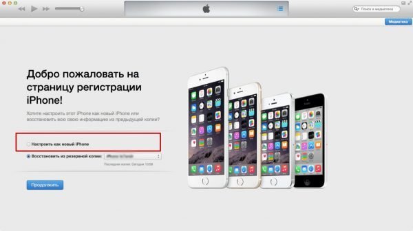 Настройка iPhone в случае ошибки авторизации