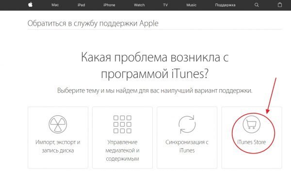 Окно обращения в службу поддержки Apple