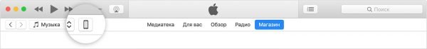 Значок устройства в iTunes