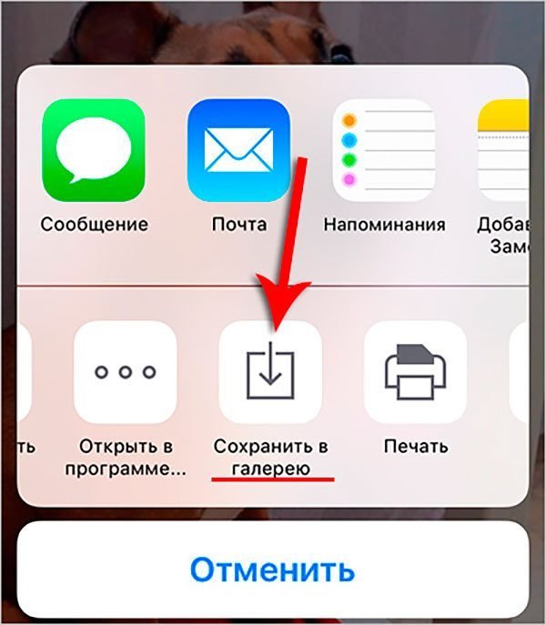 Сохранение фотографий на iPhone