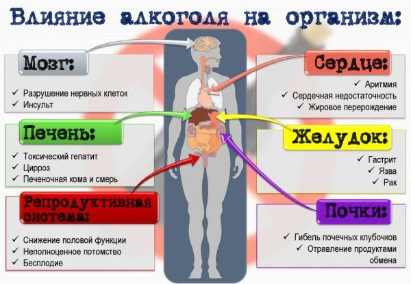 Влияние алкоголя на организм