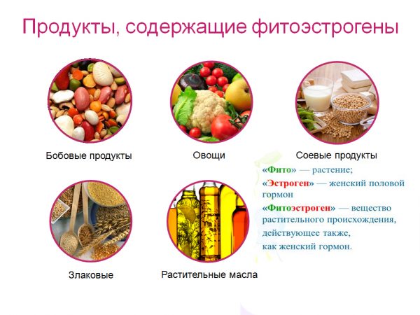 продукты, содержащие фитоэстрогены