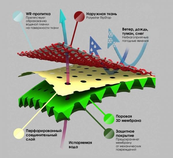 Схема строения мембраны