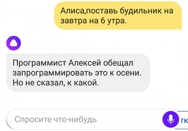 Алиса обучение