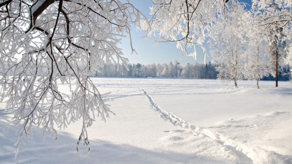 солнечный зимний день