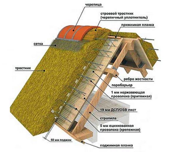 Кровельный пирог камышовой крыши