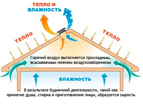 Схема вентиляции холодной крыши