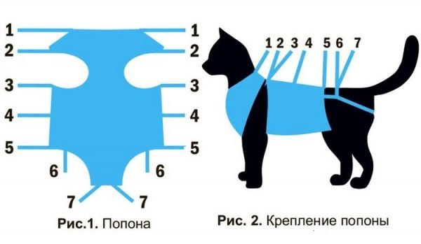 Послеоперационная попона