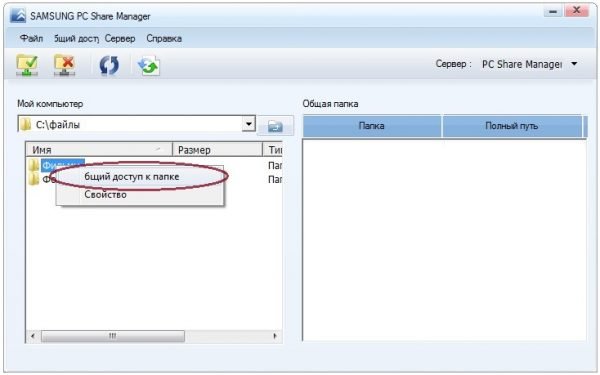 Пункт «Общий доступ к папке»