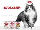 Корм Royal Canin для кошек