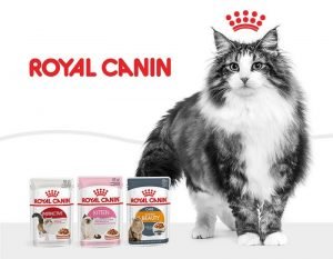 Корм Royal Canin для кошек