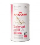 Royal Canin Babycat Milk