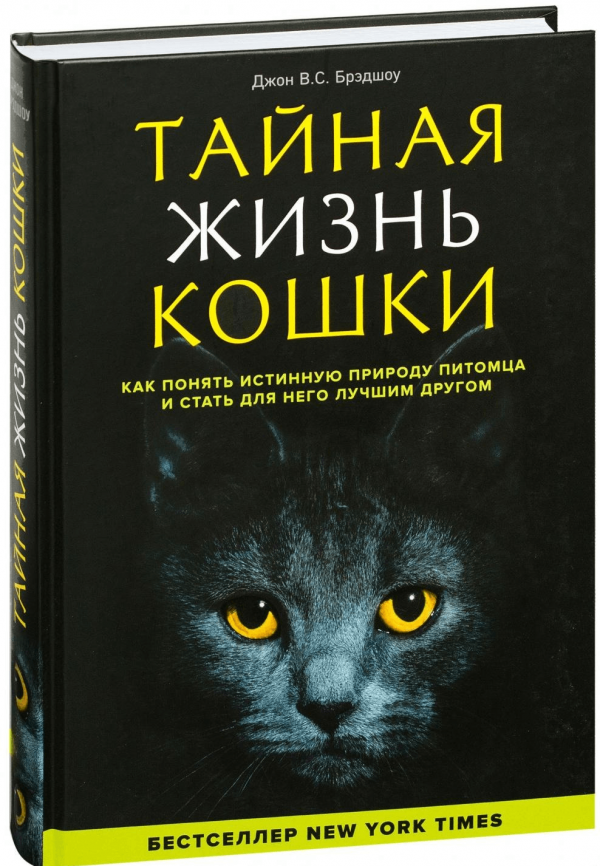 Книга «Тайная жизнь кошки»