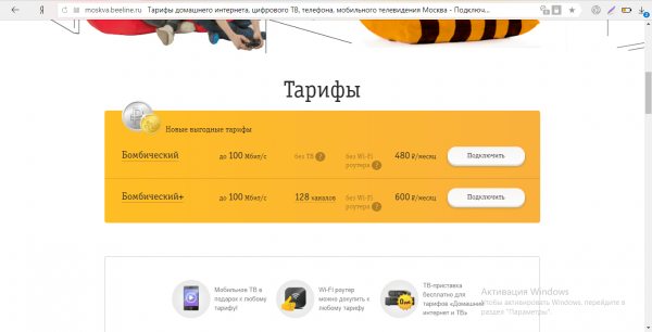 Тарифы на домашний интернет от «Билайна»