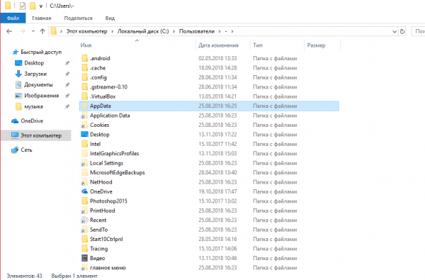 Папка AppData