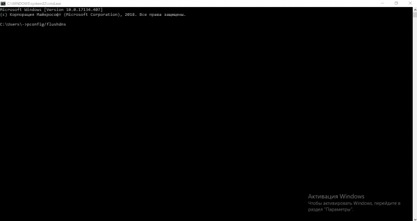 Команда ipconfig /flushdns