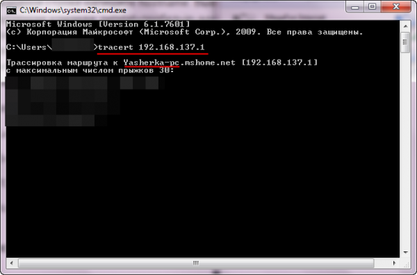 Командная строка, выполнение «tracert» с указанием IP-адреса