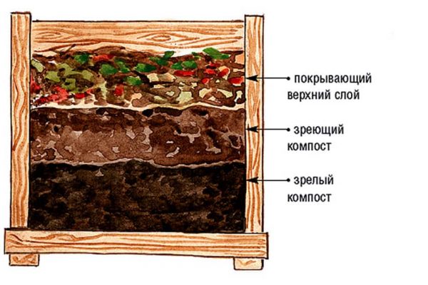 Процесс разложения сырья для компоста