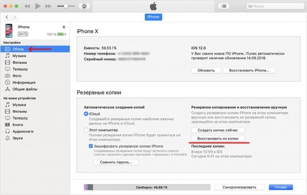 Окно настроек iPhone в утилите iTunes